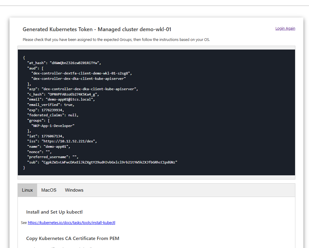 dex-k8s-authenticator token page showing JWT claims with user email, groups, and kubeconfig instructions